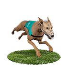 威博娛樂城白金賽狗 威博娛樂城白金賽狗